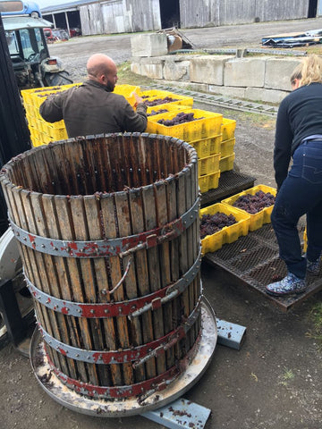 Pressing the Pinot Gris in a one ton basket press