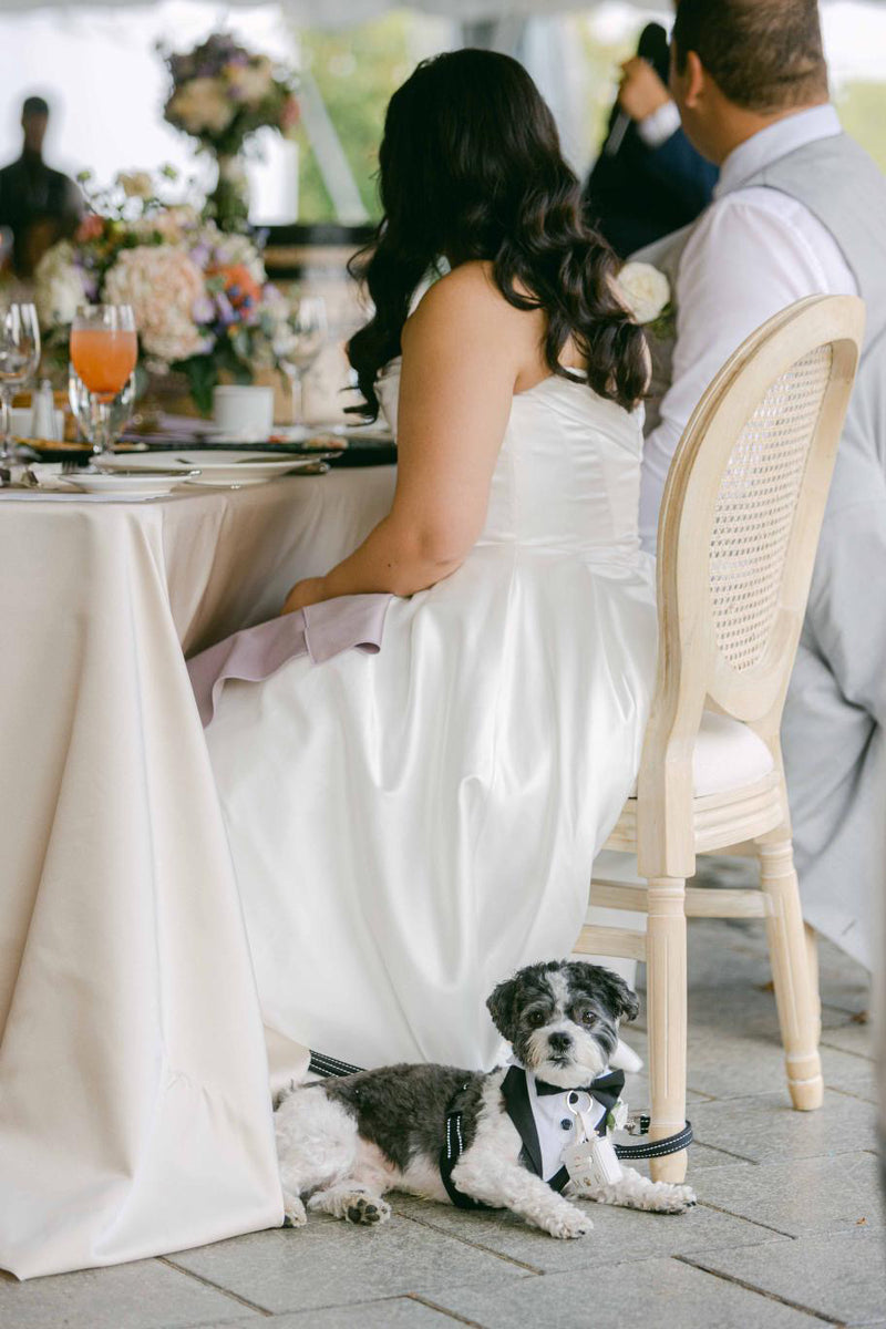 Wedding Reception | Moyer Marquee | PRECIOUS & MARIO | Daniel Ricci Photography