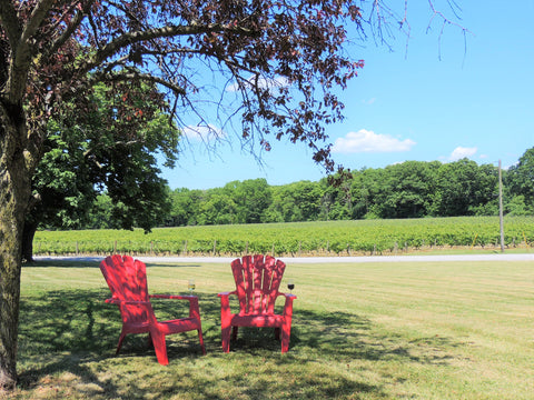 two red muskoka chairs, each with a glass of wine balanced on the arm rest, set on a green lawn overlooking vineyards