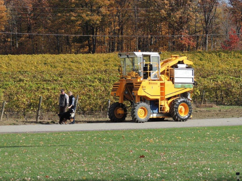 Sue-Ann, Craig Schmidt and the original Brix Alpha during Riesling harvest a number of years ago. 