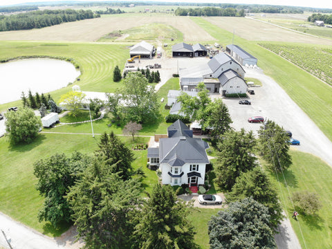 Aerial photo of the winery, showing the north/south landing strip to the right of the parking lot.  Flying is a big part of the Staff family history and small craft still land at the winery on occasion. Photo by Alan Drummond. 